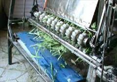 industry industrial-machinery industrial-machinery دستگاه علوفه خردکن 