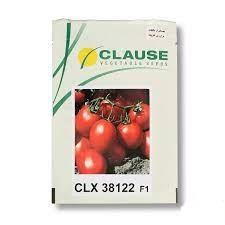 industry agriculture agriculture  بذر گوجه فرنگی CLX 38122 