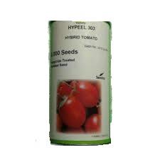 industry agriculture agriculture فروش بذر گوجه فرنگی هیبرید های پیل 