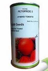 industry agriculture agriculture بذر گوجه پتوپراید 6 سمینیس