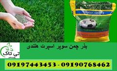 industry agriculture agriculture خرید و قیمت بذر چمن سوپر اسپرت هلندی - 09190768462
