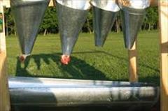 industry industrial-machinery industrial-machinery فروش دستگاه قیف سربری انواع طیور بهداشتی 