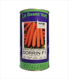industry agriculture agriculture فروش بذر هویج DORRIN F1، بذر هویج هیبرید