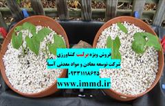 industry agriculture agriculture پرلیت کشاورزی