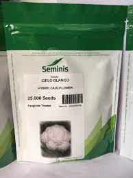 industry agriculture agriculture بذر گل کلم سیلوبلانکو سمینیس 