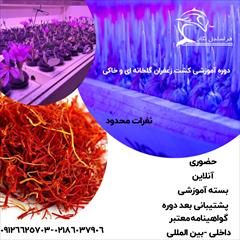 services educational educational  پرورش زعفران گلخانه ای
