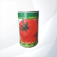 industry agriculture agriculture فروش بذر گوجه فرنگی گلناز 