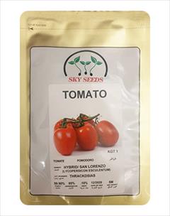 industry agriculture agriculture توزیع و فروش بذر گوجه لورنزو