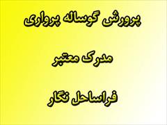 services educational educational دوره تخصصی پرواربندی گوساله - تئوری و عملی  ۳ روزه