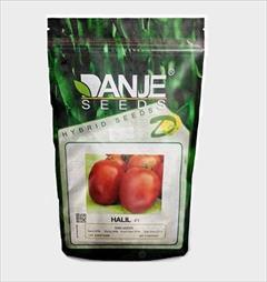 industry agriculture agriculture فروش بذر گوجه هلیل ، بذر گوجه هیبرید