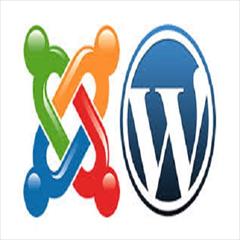 services software-web-design software-web-design وردپرس بهتر است یا جوملا!