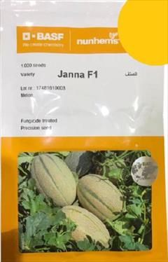 industry agriculture agriculture فروش بذر ملون Janna F1 نانهمز هلند ، بذر درجه 1