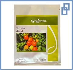 industry agriculture agriculture فروش بذر گوجه جاوید ( بذر گوجه فرنگی Javid F1 )