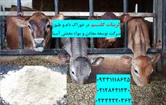 industry livestock-fish-poultry livestock-fish-poultry کربنات کلسیم در خوراک دام و طیور 
