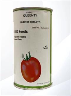 industry agriculture agriculture بذر گوجه کوینتی - بذر گوجه فرنگی Queenty F1