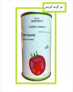 industry agriculture agriculture فروش بذر گوجه Queenty Seminis