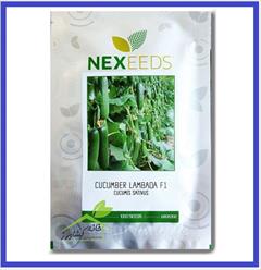 industry agriculture agriculture فروش بذر خیار گلخانه ای لامبادا F1 NEXEEDS