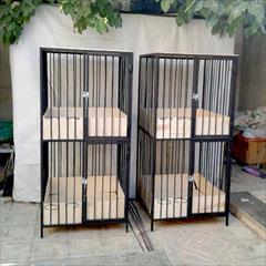 industry livestock-fish-poultry livestock-fish-poultry قفس دو طبقه لاری