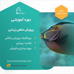 services educational educational کارگاه آموزشی پرورش و تکثیر ماهی زینتی 