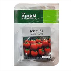 industry agriculture agriculture فروش بذر گوجه فرنگی مارس کیبان 