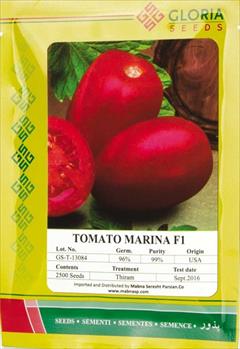 industry agriculture agriculture فروش بذر گوجه مارینا گلوریا ، بذر گوجه تخم مرغی