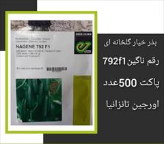 industry agriculture agriculture بذر خیار گلخانه ای NAGENE 792 F1