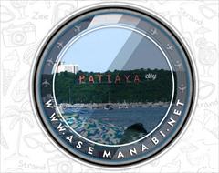 tour-travel foreign-tour pattaya تور ارزان پاتایا