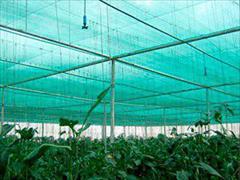 industry agriculture agriculture توری شید 09197443453