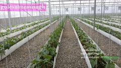 industry agriculture agriculture شرکت گلخانه ساز -ساخت گلخانه -گلخانه اسپانیای