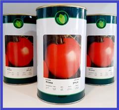 industry agriculture agriculture فروش بذر گوجه پریمو فلات _ بذر گوجه پرفروش