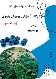 services educational educational آموزش کاشت، داشت و برداشت بلوبری