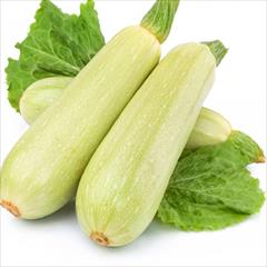 industry agriculture agriculture فروش بذر کدو کلاریتا
