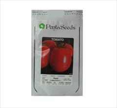 industry agriculture agriculture فروش بذر گوجه RAAD ( بذر گوجه درجه یک )