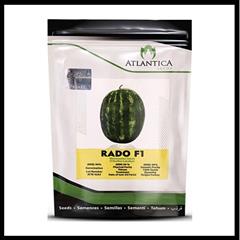 industry agriculture agriculture فروش بذر هندوانه RADO F1