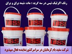 industry chemical chemical رنگ اکریلیک Tiss  Paint 780