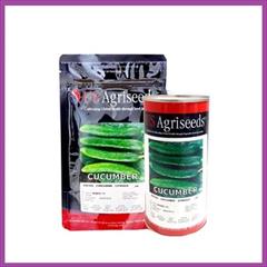 industry agriculture agriculture فروش بذر خیار Rider یو اس آگریسیدز