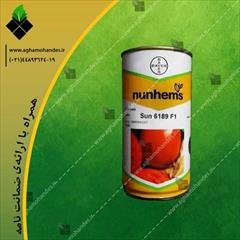 industry agriculture agriculture فروش بذر گوجه فرنگی سانسید
