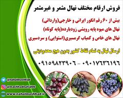 industry agriculture agriculture خرید نهال میوه اصلاح شده