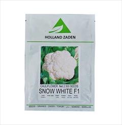 industry agriculture agriculture فروش بذر گل کلم SNOW WHITE F1