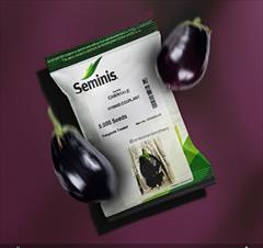 industry agriculture agriculture بذر بادمجان هیبرید شانتال سمینیس ،ارسال به کل کشور