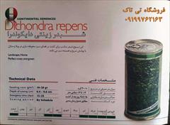 industry other-industries other-industries بذر شبدر دایکوندرا ، بذر چمن عروس 09199762163