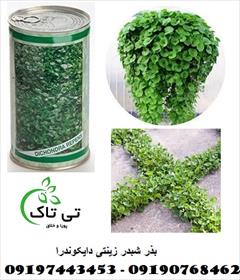 industry agriculture agriculture بذر چمن شبدری ، بذر چمن دایکوندرا - 09190768462