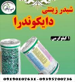 industry agriculture agriculture بذر چمن شبدری دایکوندرا 09395700736