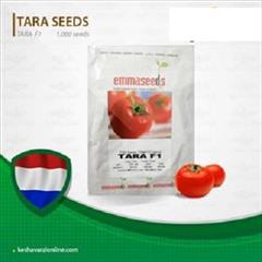 industry agriculture agriculture قیمت بذر گوجه فرنگی تارا