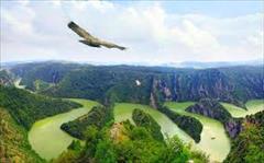 tour-travel travel-services travel-services تورصربستان بلگراد تورصربستان بلگراد