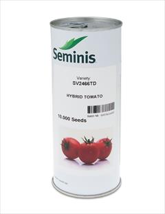industry agriculture agriculture عرضه و فروش بذر گوجه 2466 سیمینس