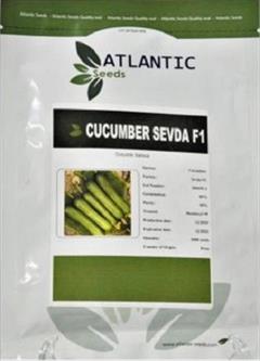 industry agriculture agriculture فروش بذر خیار گلخانه ای SEVDA F1