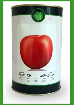industry agriculture agriculture فروش بذر گوجه Falat CH، بذر درجه یک