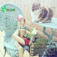 buy-sell home-kitchen table-chairs مبلمان باغی طاووسی 