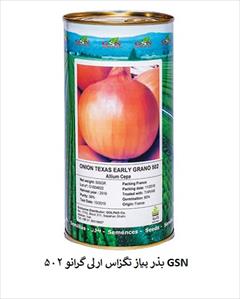 industry agriculture agriculture فروش بذر پیاز تگزاس ارلی گرانو 502 GSN ، درجه1
